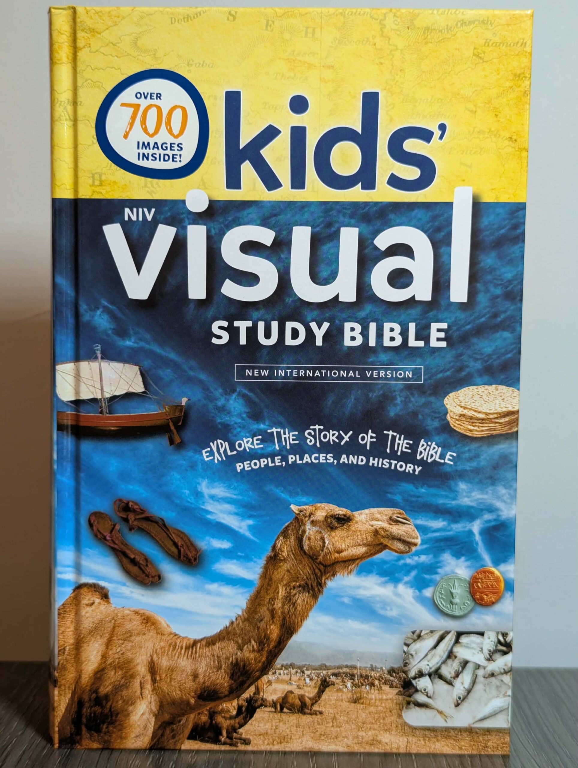 NIV Kid's Visual Study Bible, Hardcover