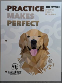 Practice Makes Perfect: Level 2