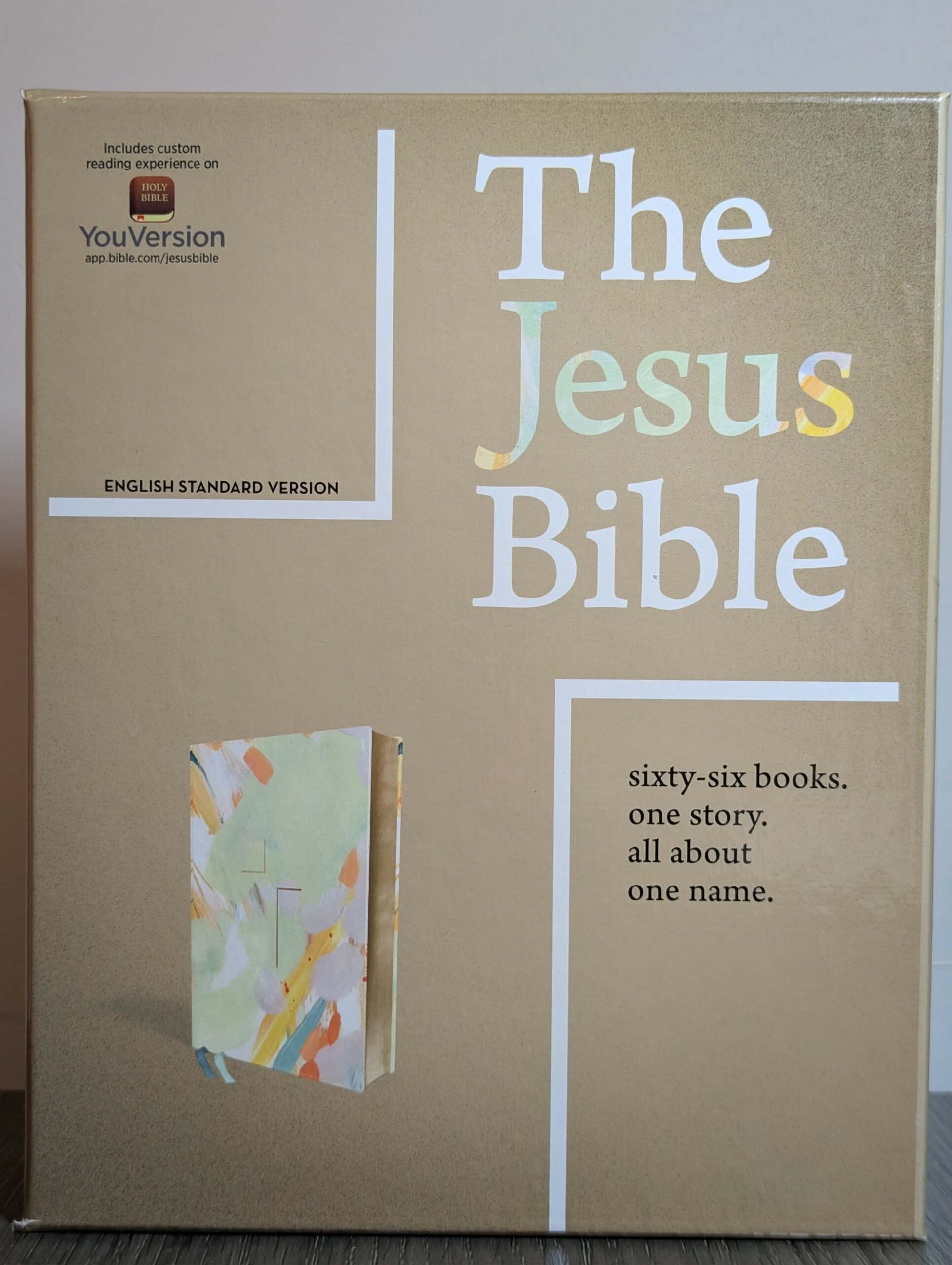 ESV, The Jesus Bible Art Ed., LS, Multi