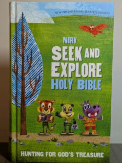 NIrV Seek and Explore Holy Bible