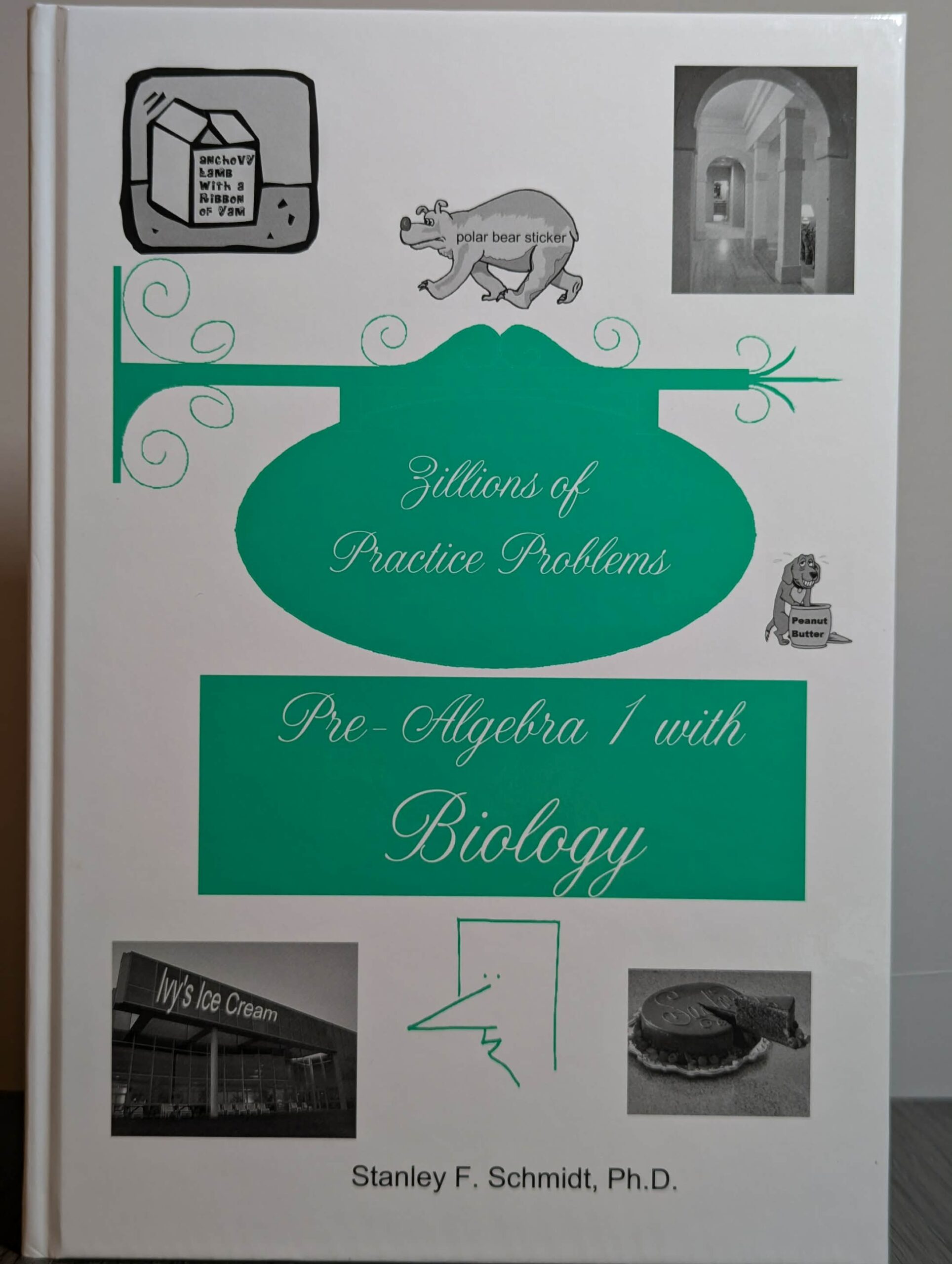 Zillions of Practice Problems Pre-Algebra 1 with Biology