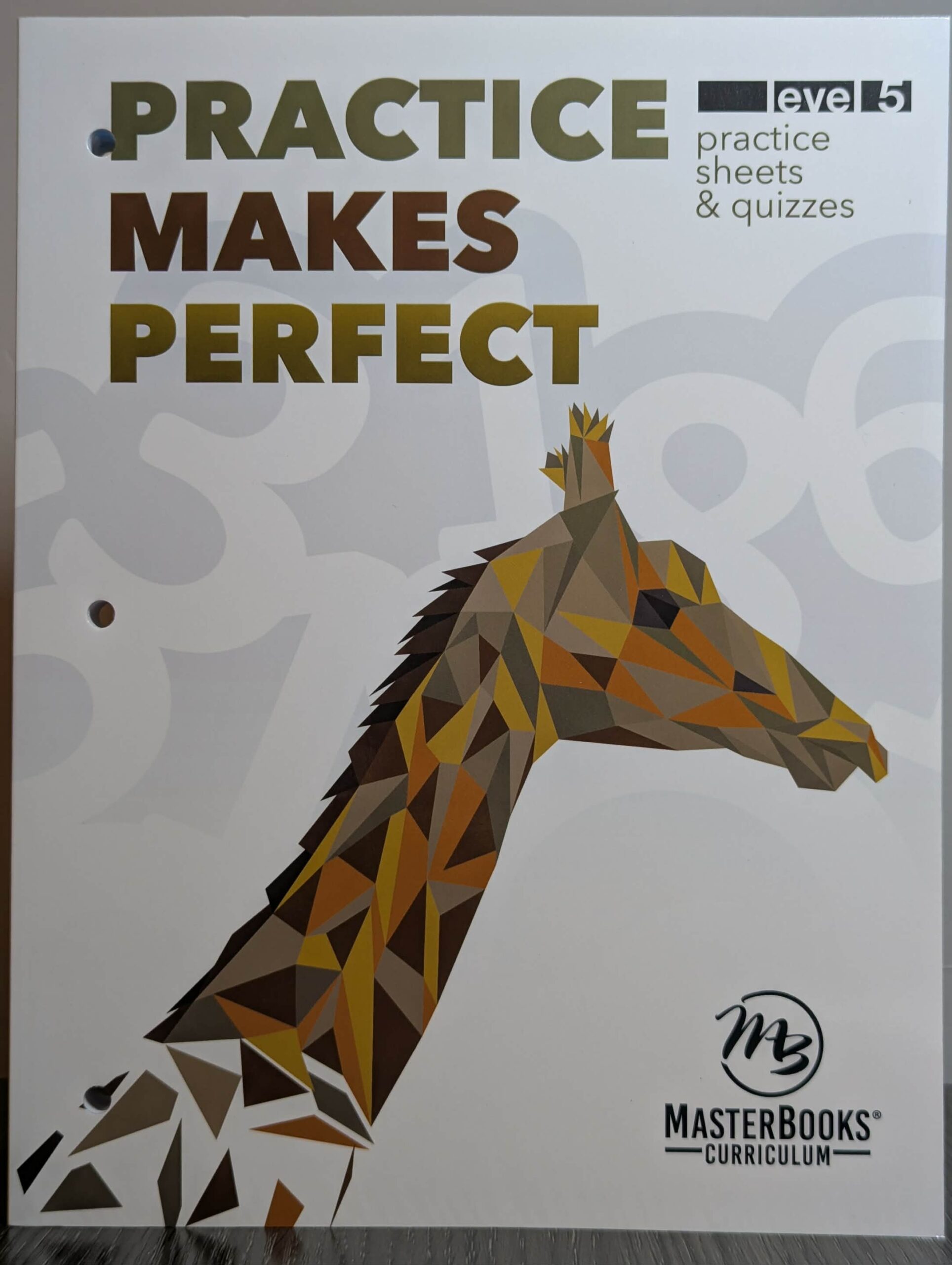 Practice Makes Perfect: Level 5