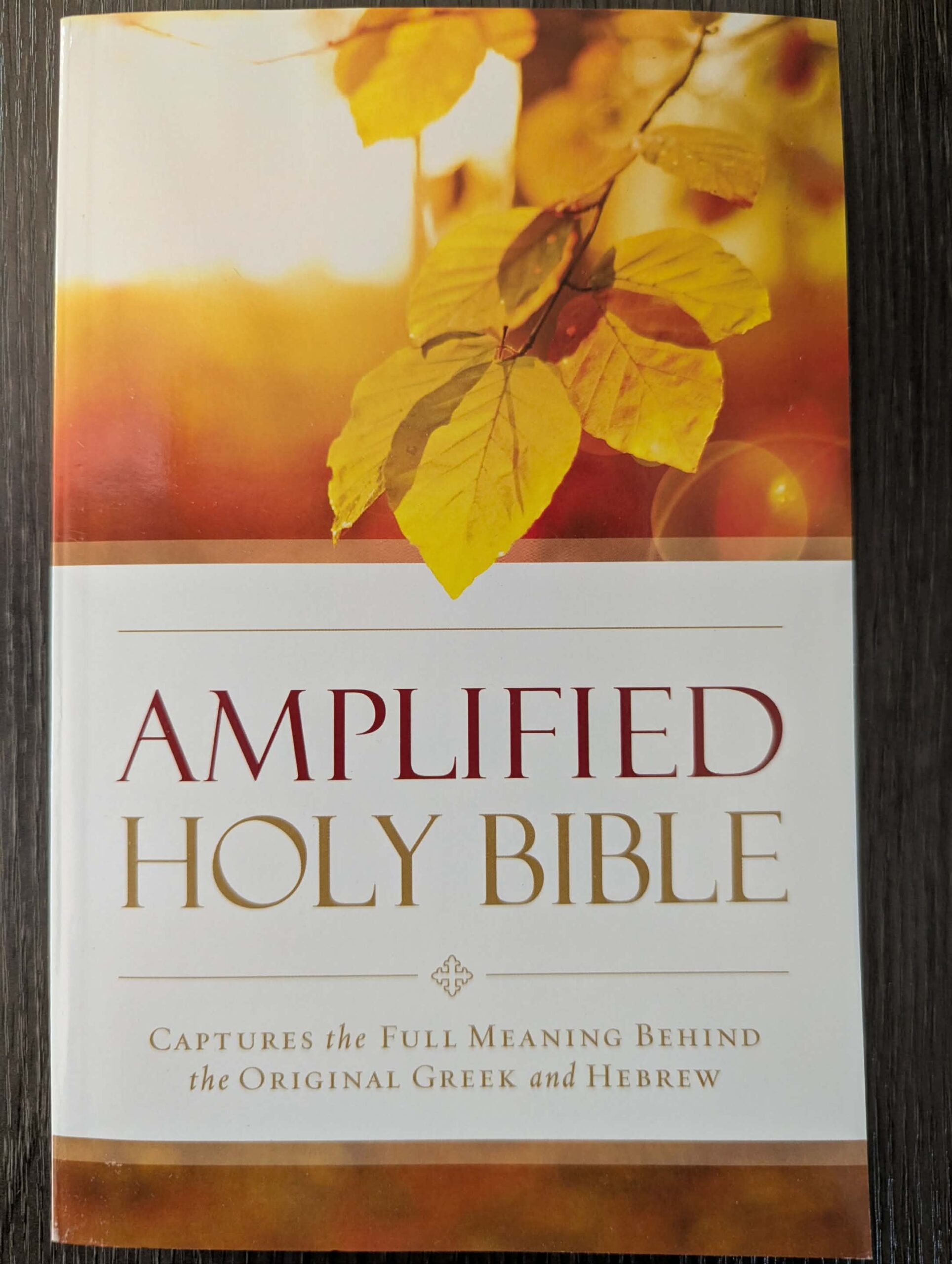 Amp Outreach Bible, Paperback