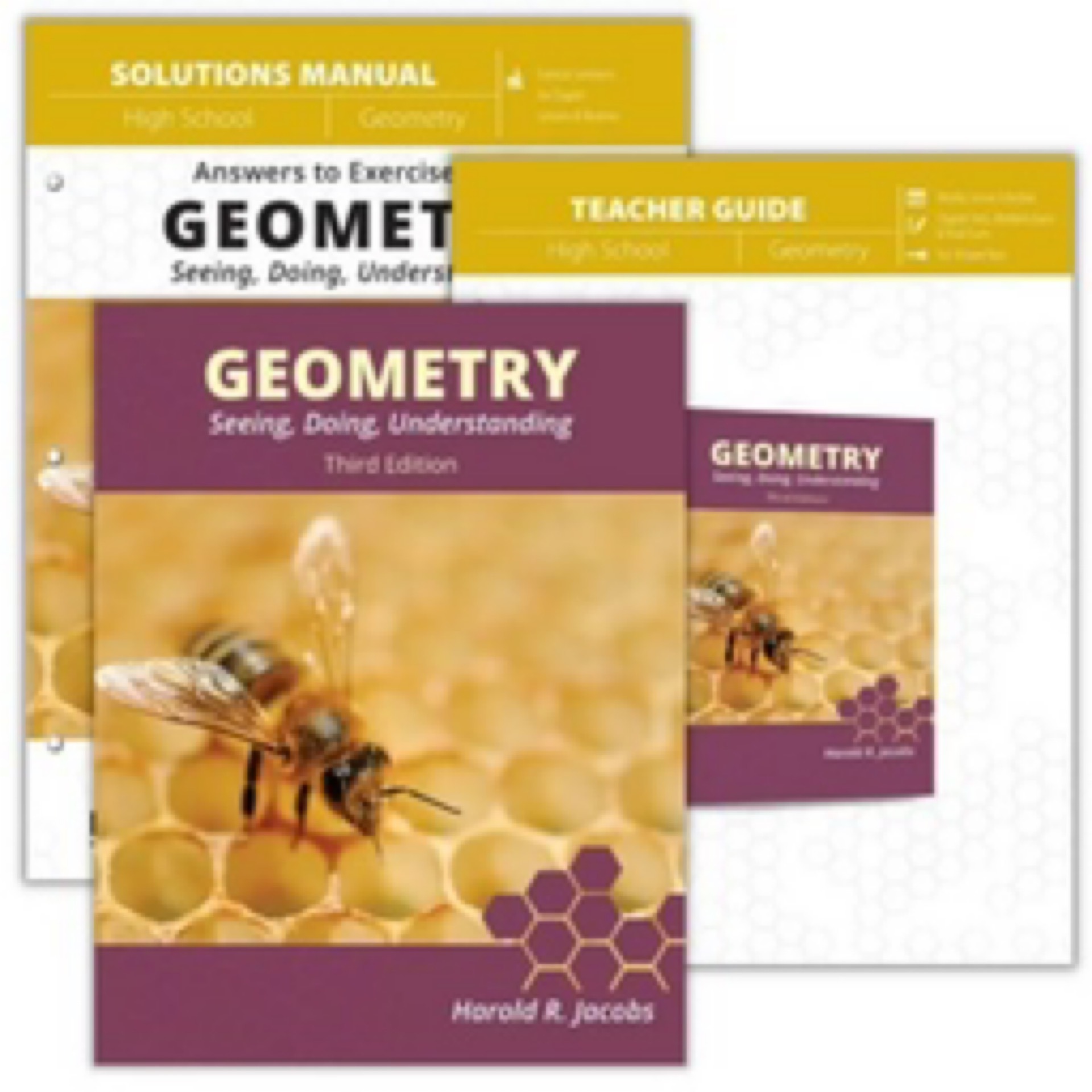Geometry (Curriculum Pack)