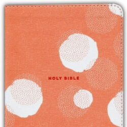 NIV, Teen Study Bible, compact, peach
