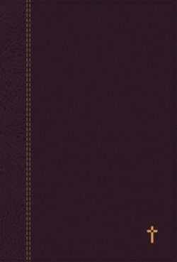 NASB 1995, Grace/Truth Study Bible, Leathersoft, Large Print, Index