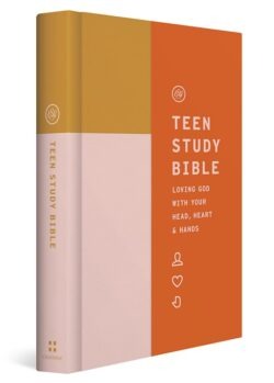 ESV Teen Study Bible, Hardcover, Desert Sun