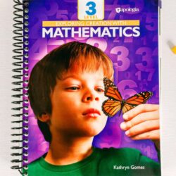 Mathematics Level 3 Student Text and Workbook- Scratched & Dented (Final Sale)